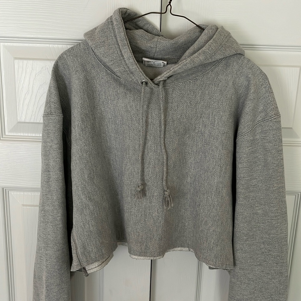 Champion Reverse Weave Cropped Gray Hooded Sweatshirt
